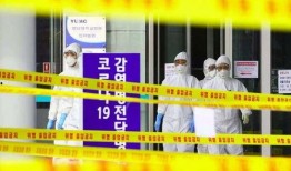 韩国最新疫情爆料,追踪变异病毒与防疫挑战