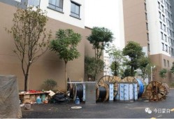 苏州维也纳小区最新爆料,揭秘神秘事件背后的真相