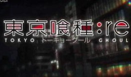 爆料王的最新视频在哪看,最新爆料王视频观看攻略，不容错过的精彩内容！