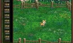 猫哥dnf最新爆料,DNF最新动向揭秘，全新版本即将来袭！