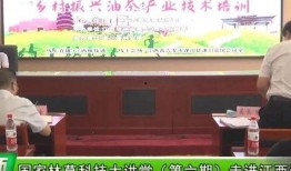 最新茶叶爆料新闻事件,揭秘最新茶叶事件背后的真相与影响