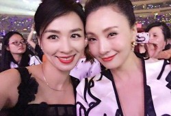 张婷爆料陶虹视频大全最新,张婷揭露惊人内幕