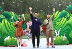 龙公子最新爆料新闻视频,最新爆料新闻视频深度解析