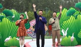 阜阳最新爆料深圳事件视频,阜阳最新爆料视频揭露惊人真相