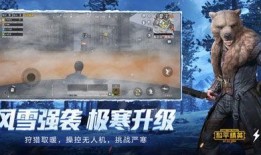 和平精英最新锦绣嘉年华爆料,全新内容大揭秘，狂欢盛宴即将开启！