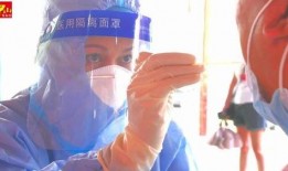 宝娃节目爆料最新一期在线观看,精彩爆料引网友热议