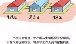 非洲猪瘟最新爆料,揭秘病毒传播与防控策略