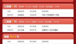 金帝股份最新爆料信息,揭秘公司重大战略布局与未来发展规划