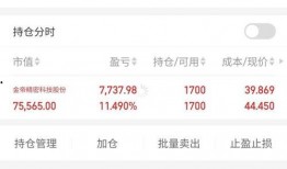 金帝股份最新爆料信息,揭秘公司重大战略布局与未来发展规划